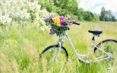 Auf geht‘s in den Fahrrad-Frühling – doch wie ist mein Rad versichert?